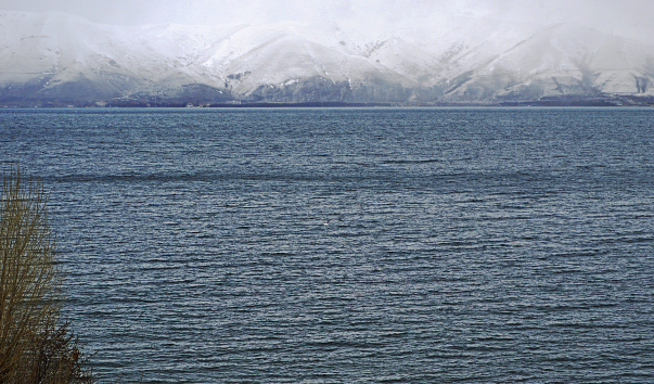 _DSC0076