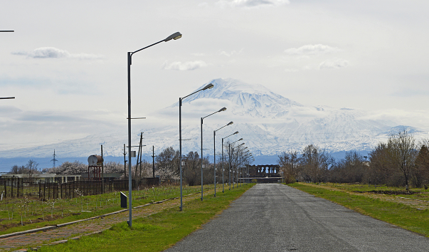 _DSC0240