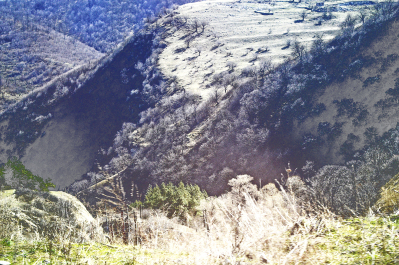 photo 1287394