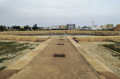 photo 1337443