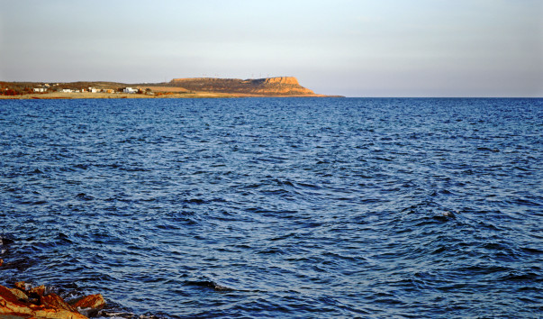 _DSC0363
