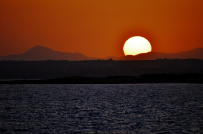 photo 1418772