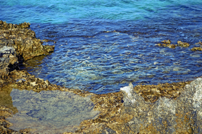 photo 1419335
