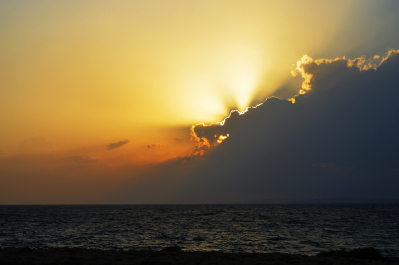 photo 1428721