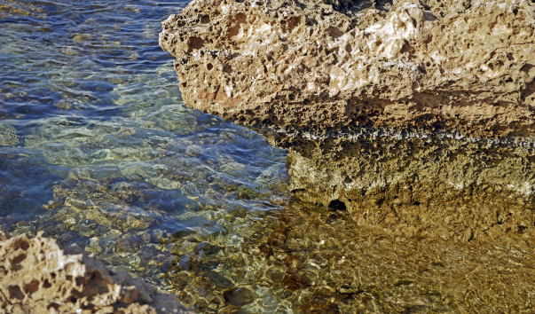 _DSC0184