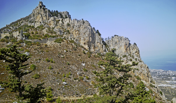 _DSC0890