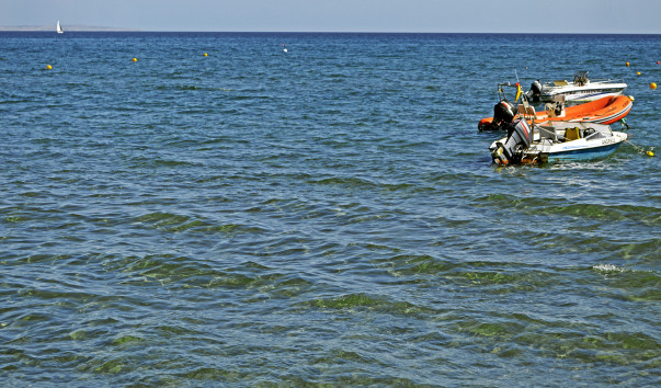_DSC0443