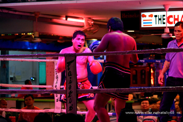 photo 1497772