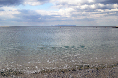 photo 1490772