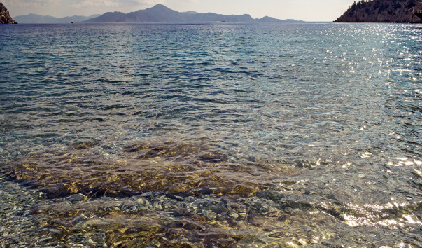 _DSC0410