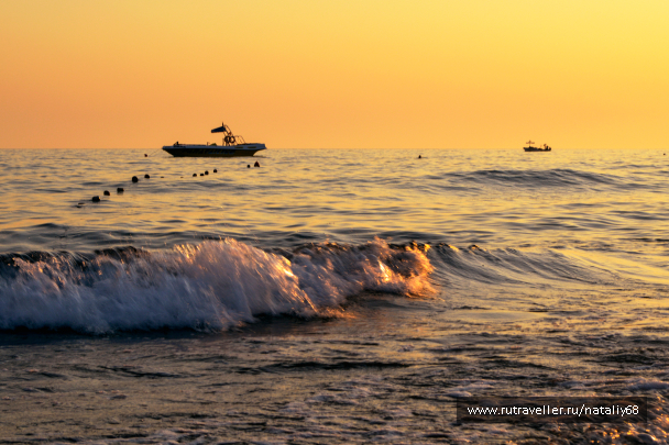 photo 1691887