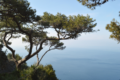 photo 1778364