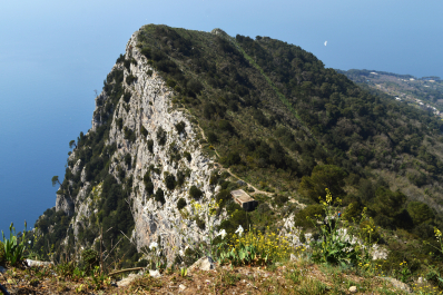 photo 1783476