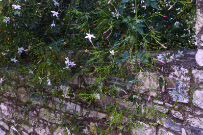 photo 1820085