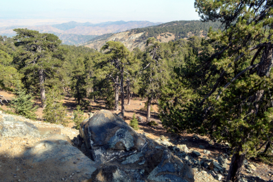 photo 1824202