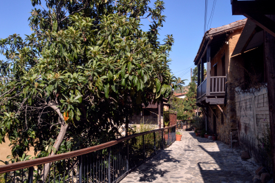 photo 1825425