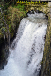 photo 1834777