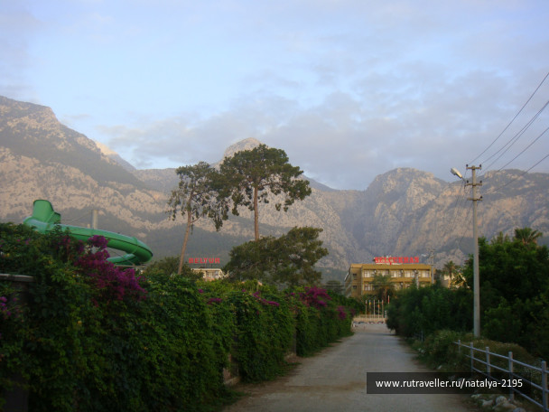 photo 498539