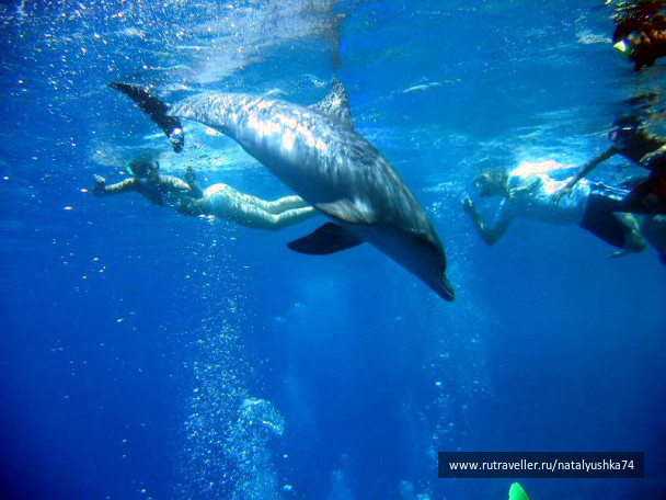 photo 210532