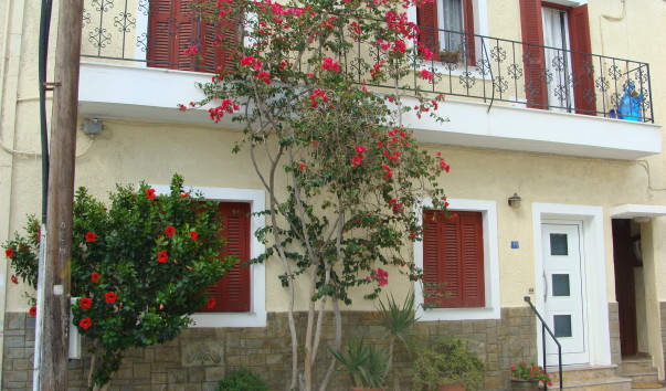 DSC01781