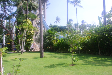 photo 567366