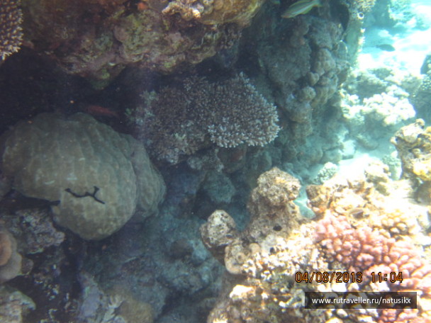 photo 405318