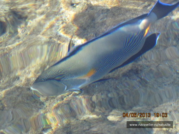 photo 405322
