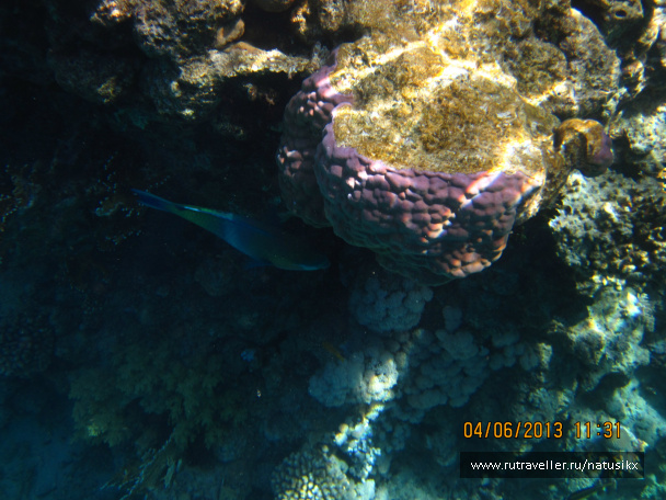 photo 405324