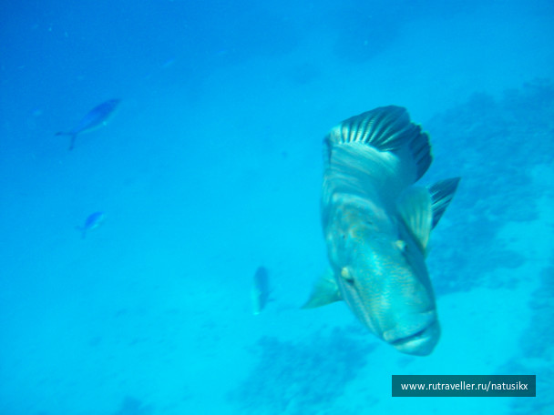 photo 405781