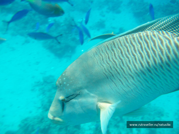 photo 405782