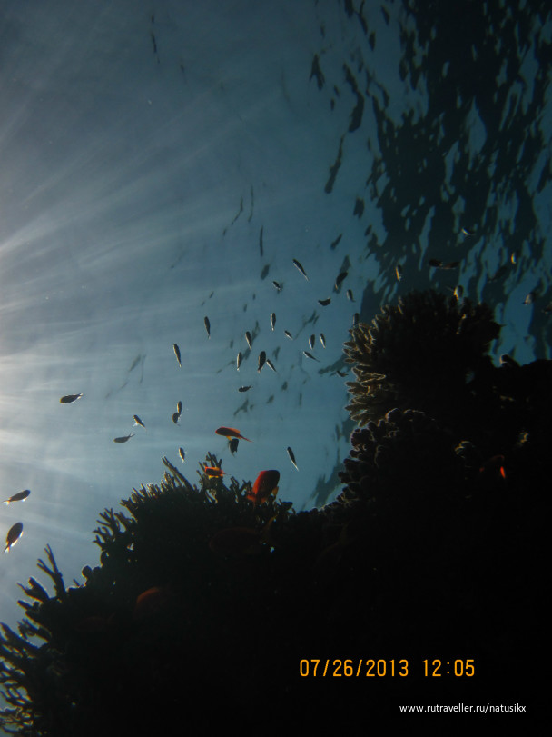 photo 450284