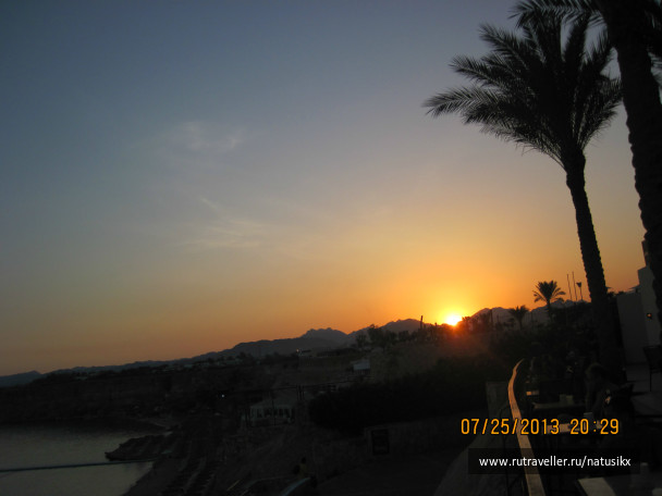 photo 450290