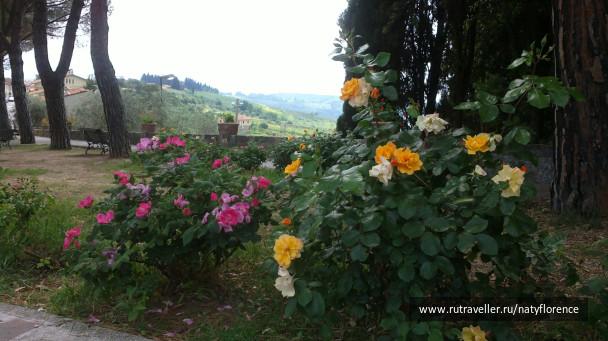 photo 98612
