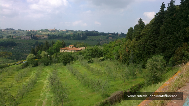 photo 98613