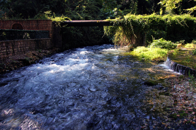 photo 1178109