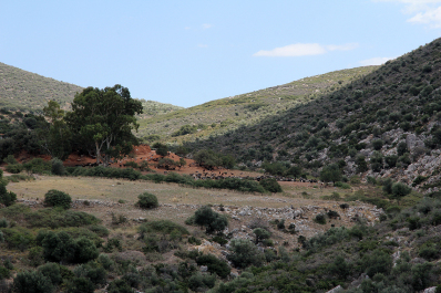 photo 1692201