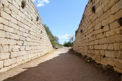 photo 1695156