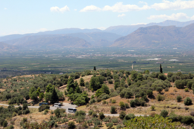 photo 1777324