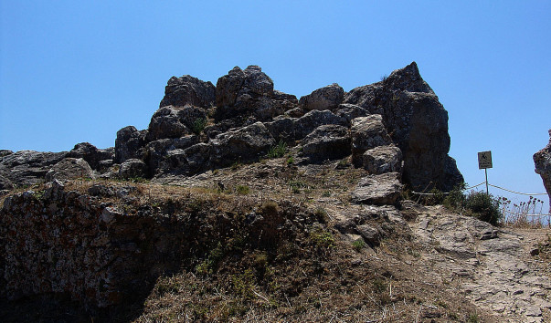 DSC05483