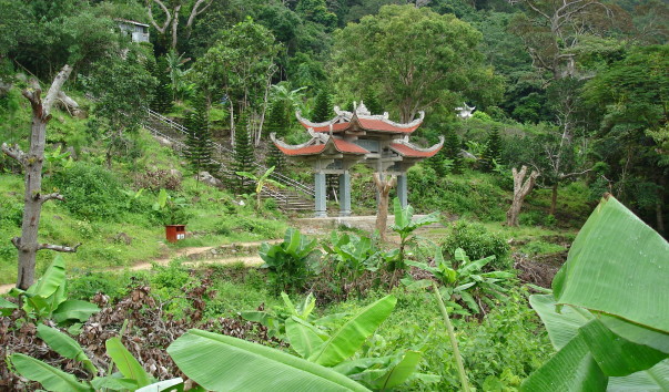 DSC03394