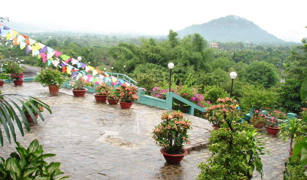 DSC03384