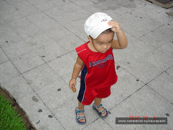 photo 2062289