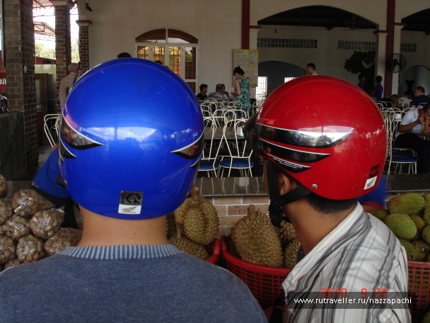 photo 2064831