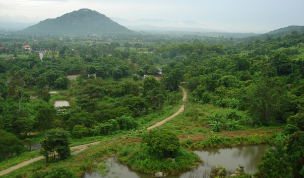 DSC03388