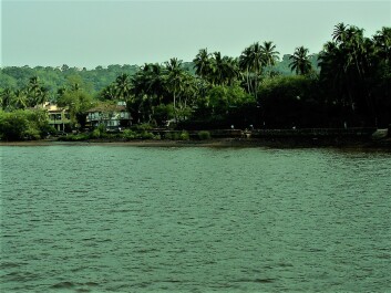 photo 2069700
