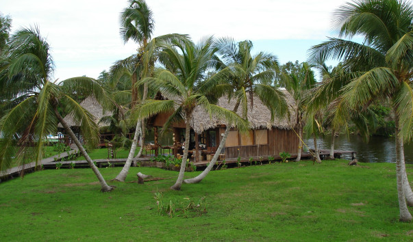 DSC00336
