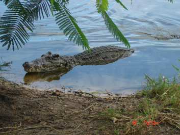 photo 367272