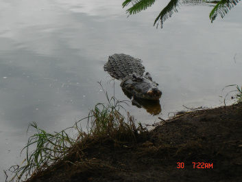 photo 368527