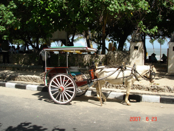 photo 372592