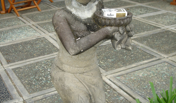 DSC01488